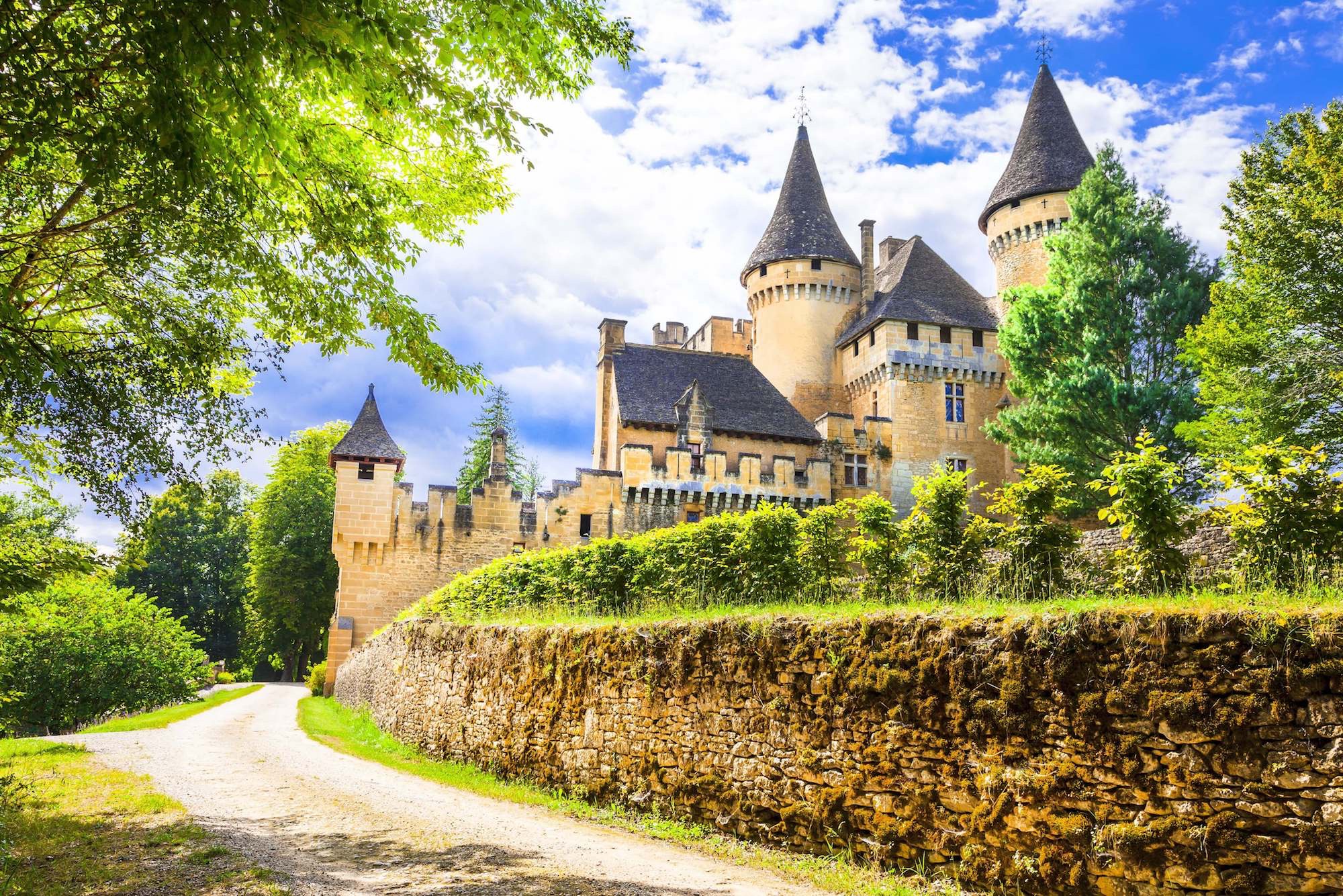 chateau in dordogne france
