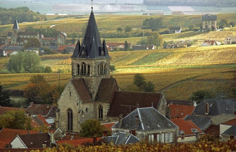  Pastoral setting of the champagne region 