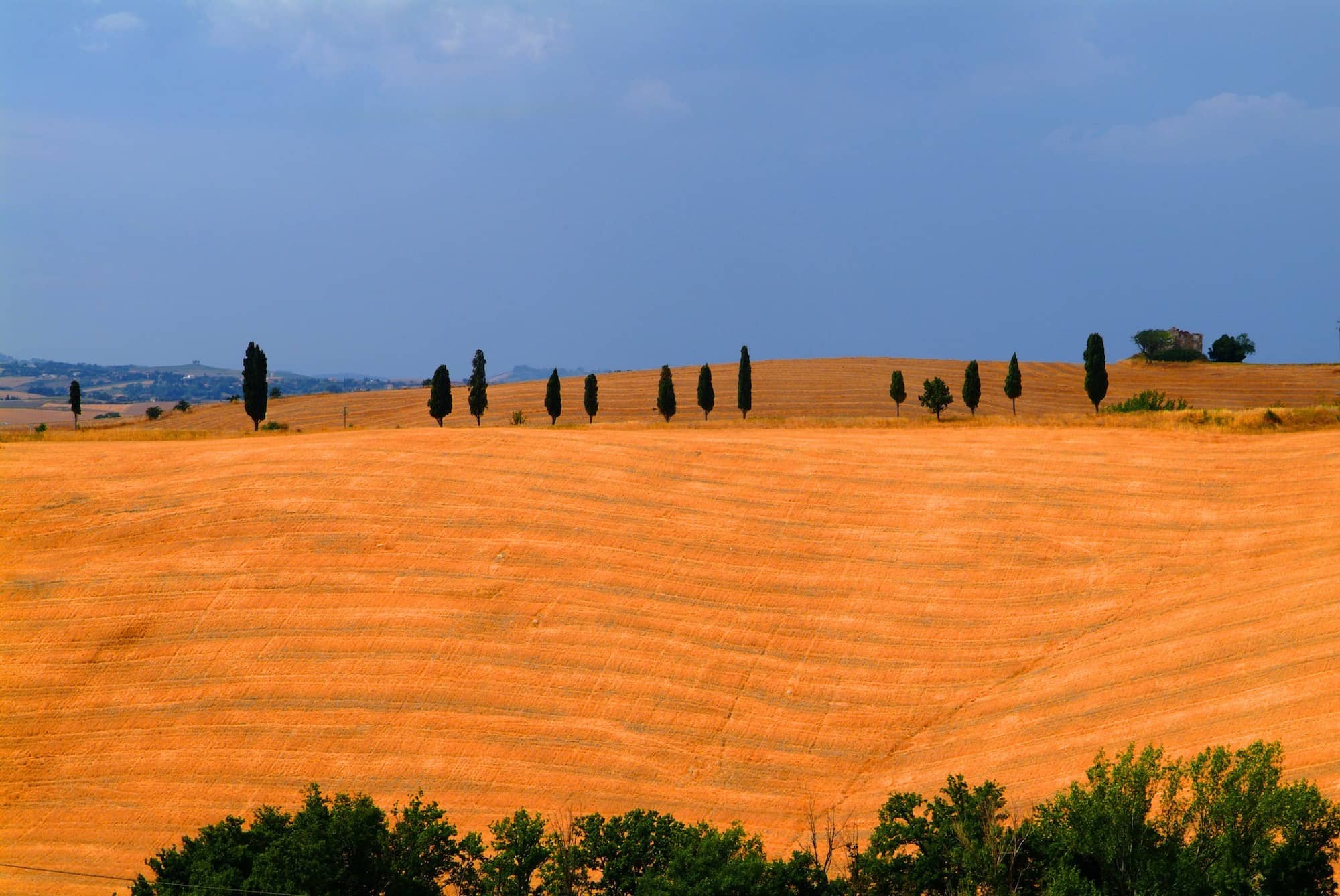 Tuscan Fields, Italy