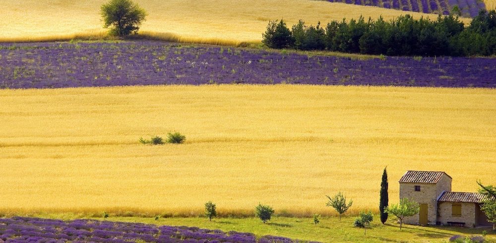  Autumn in Provence 