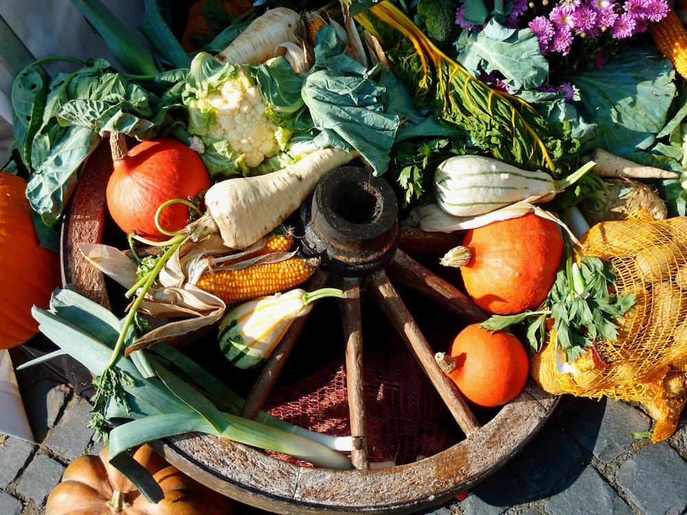  Provence Fall Vegetables 